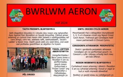 Bwrlwm Aeron Hâf 2024